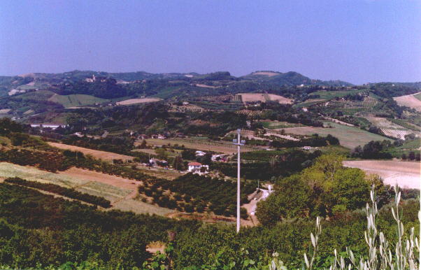 view3.jpg (53120 bytes)